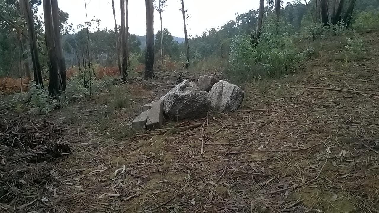 Proporção de 1/3 De Terrenos · Fafe — imagem 4