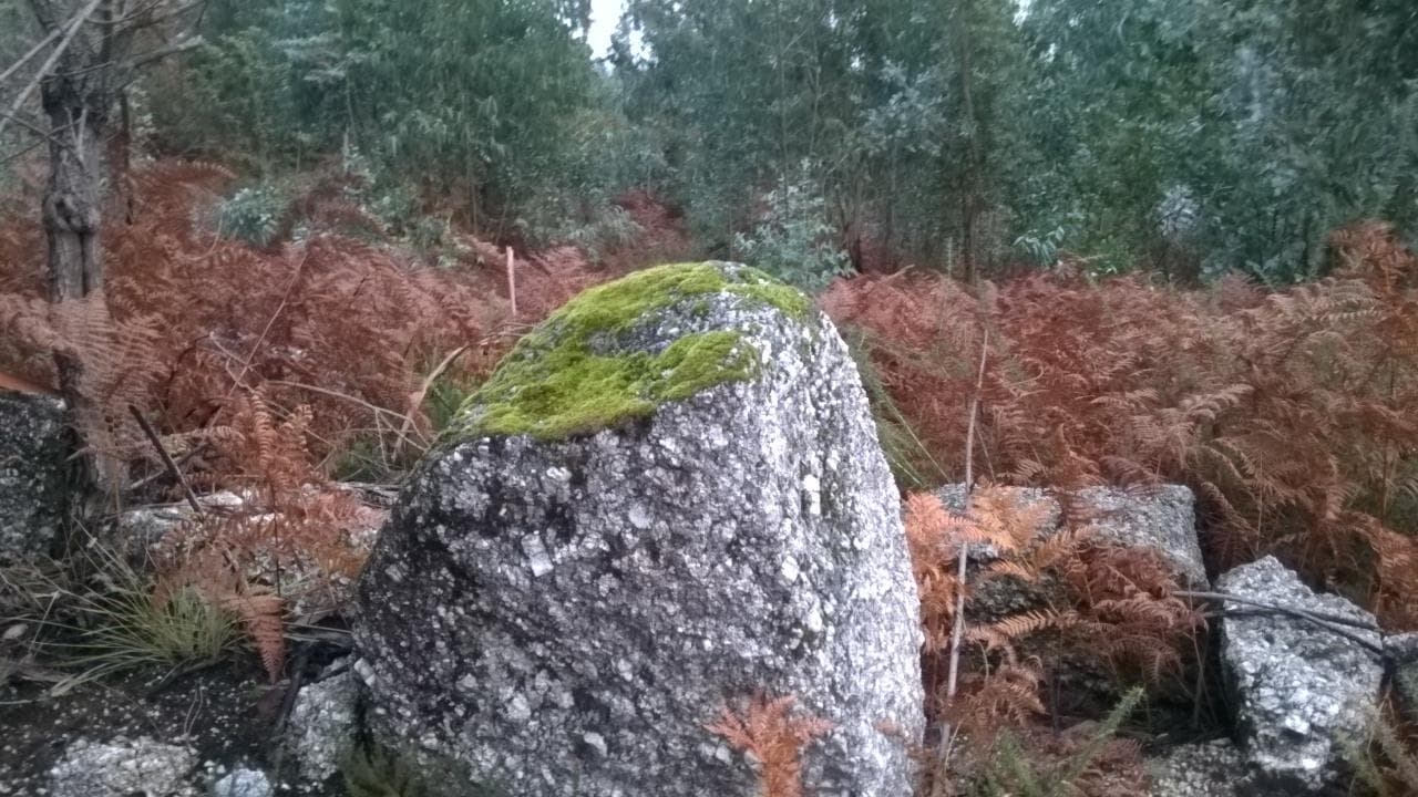 Proporção de 1/3 De Terrenos · Fafe — imagem 7