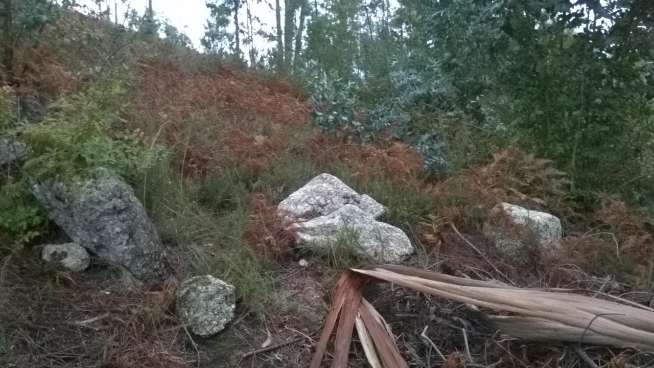 Proporção de 1/3 De Terrenos · Fafe — imagem 5