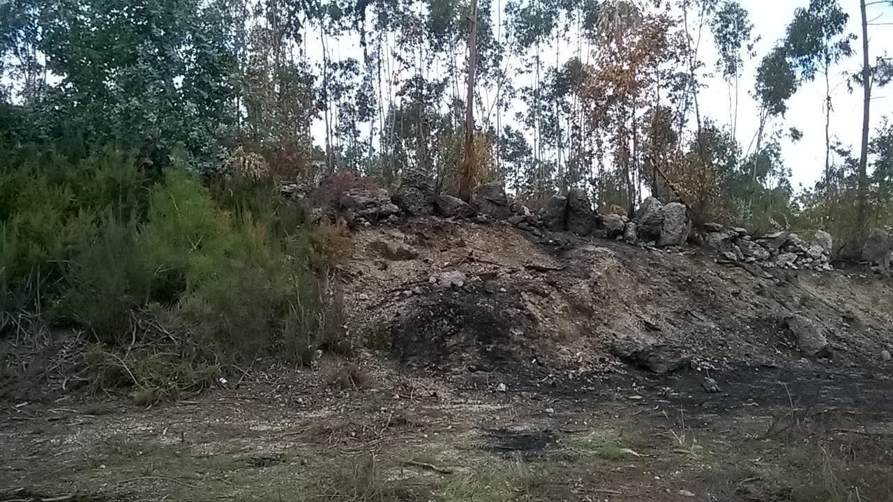 Proporção de 1/3 De Terrenos · Fafe — imagem 6