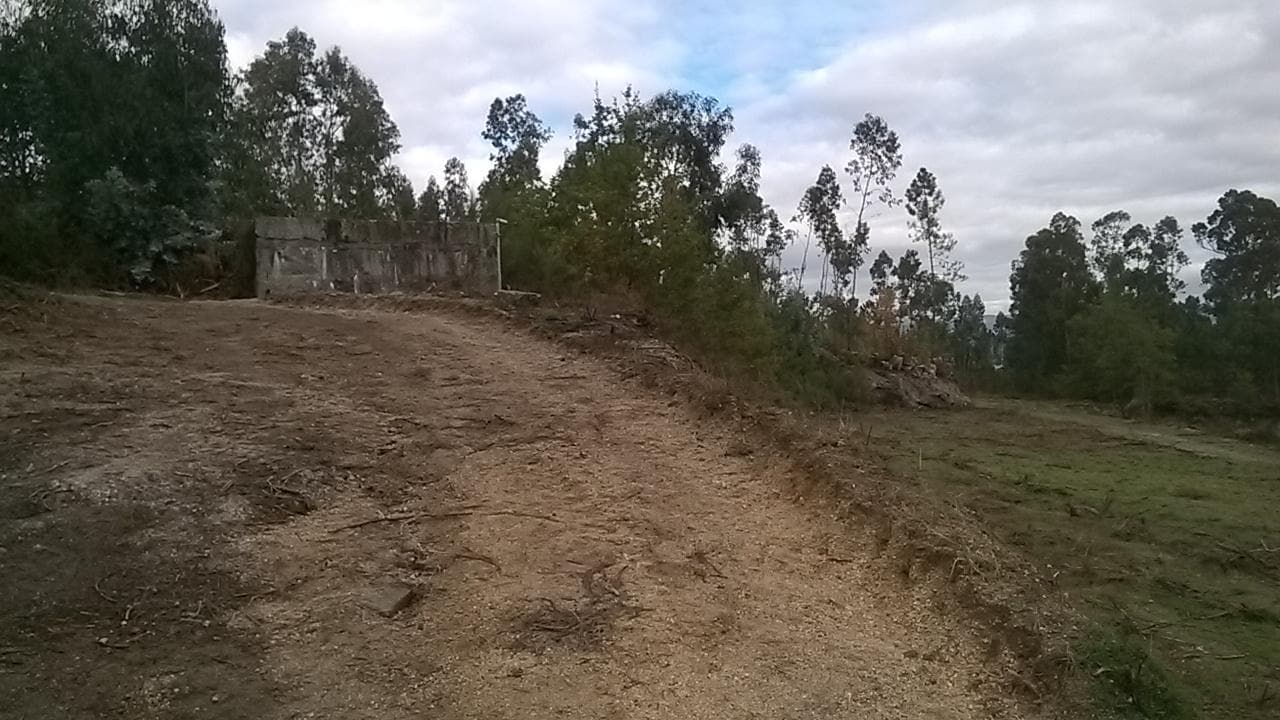 Proporção de 1/3 De Terrenos · Fafe — imagem 8