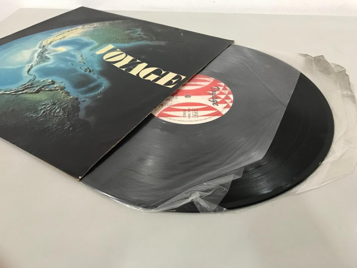 Disco Vinil — imagem 2