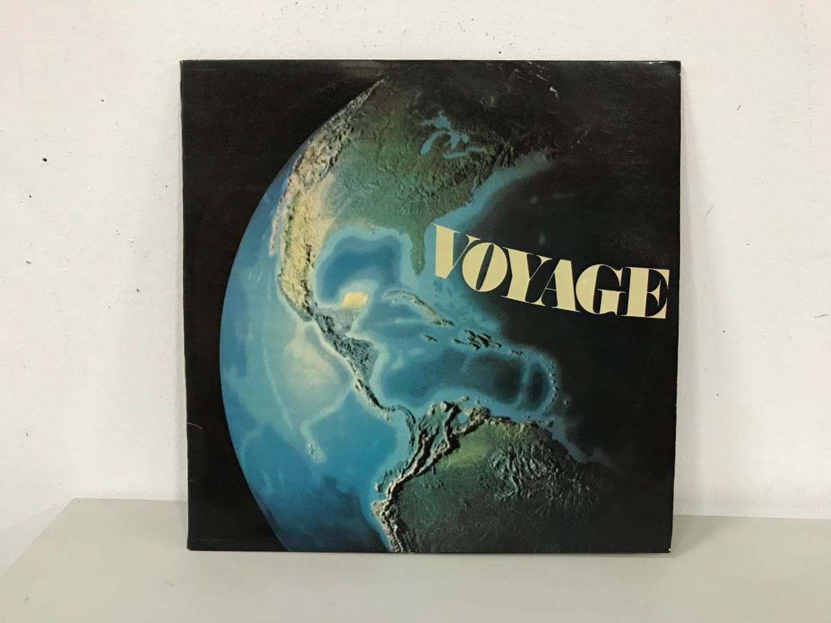 Disco Vinil — imagem 1