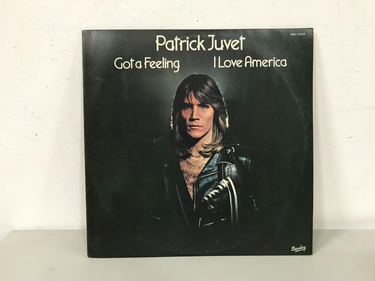 Disco Vinil