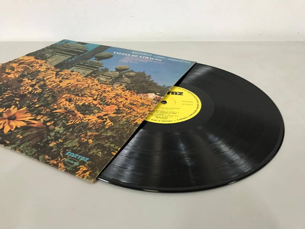Disco de Vinilo — imagen 2