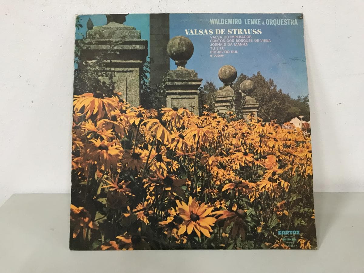 Disco de Vinilo — imagen 1