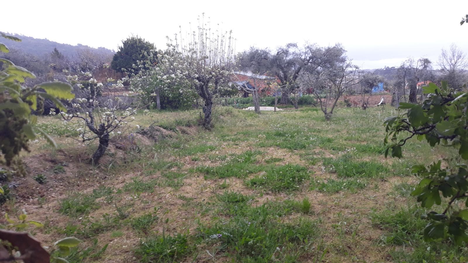 Terreno · Fundão — imagen 2