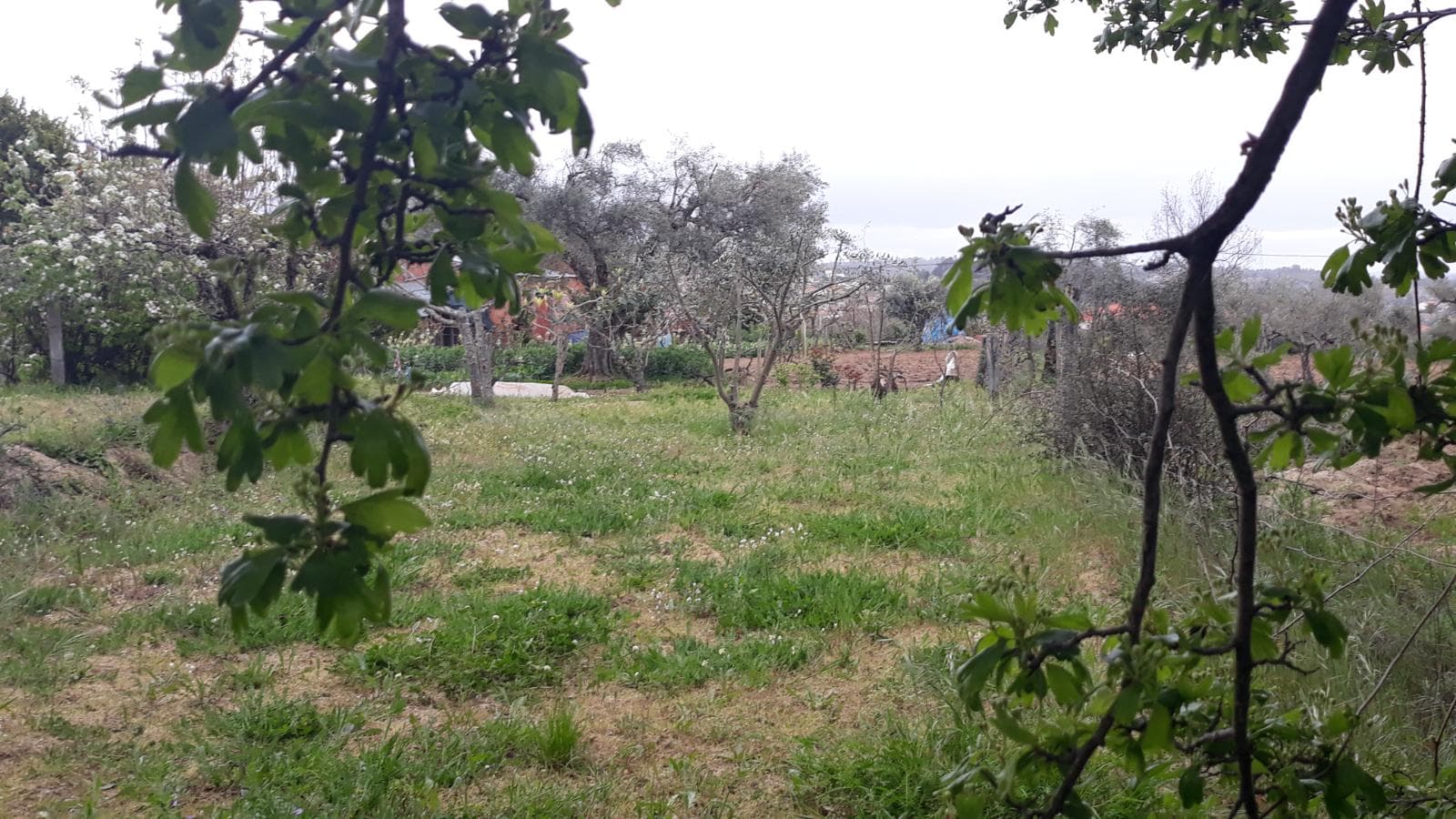 Terreno · Fundão — imagen 3