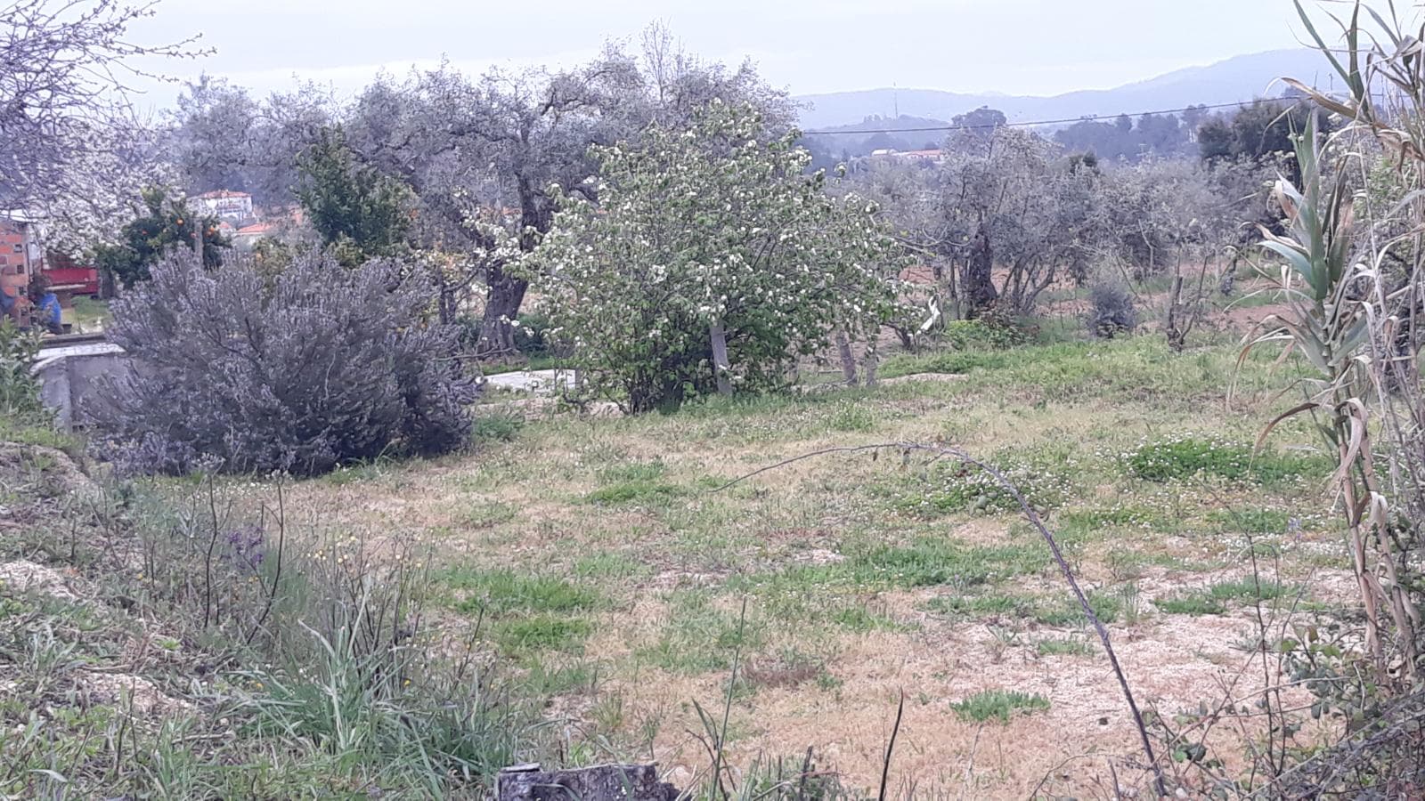 Terreno · Fundão — imagen 5