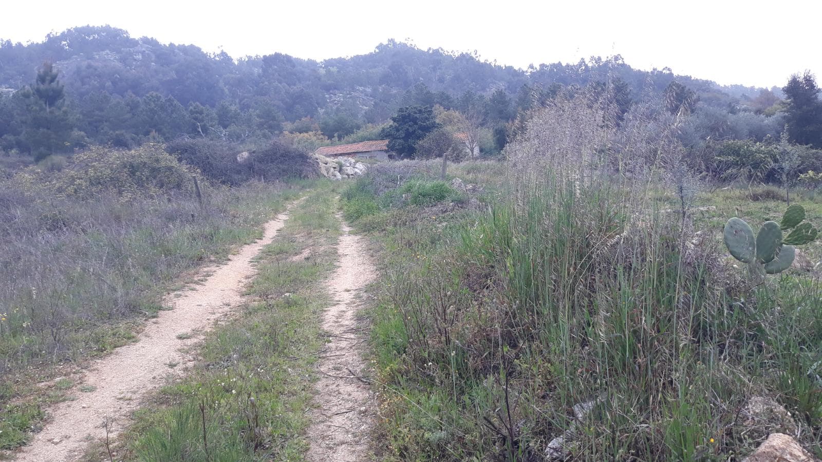 Terreno · Fundão — imagen 4