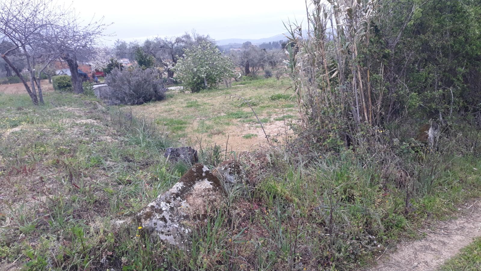 Terreno · Fundão — imagen 6
