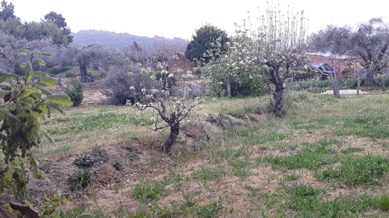 Terreno · Fundão — imagen 8