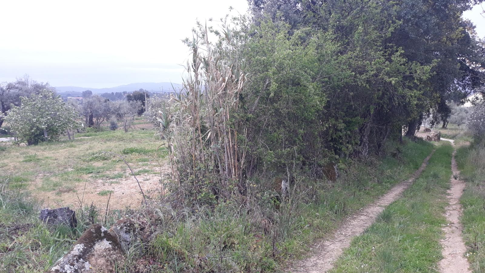 Terreno · Fundão — imagen 1