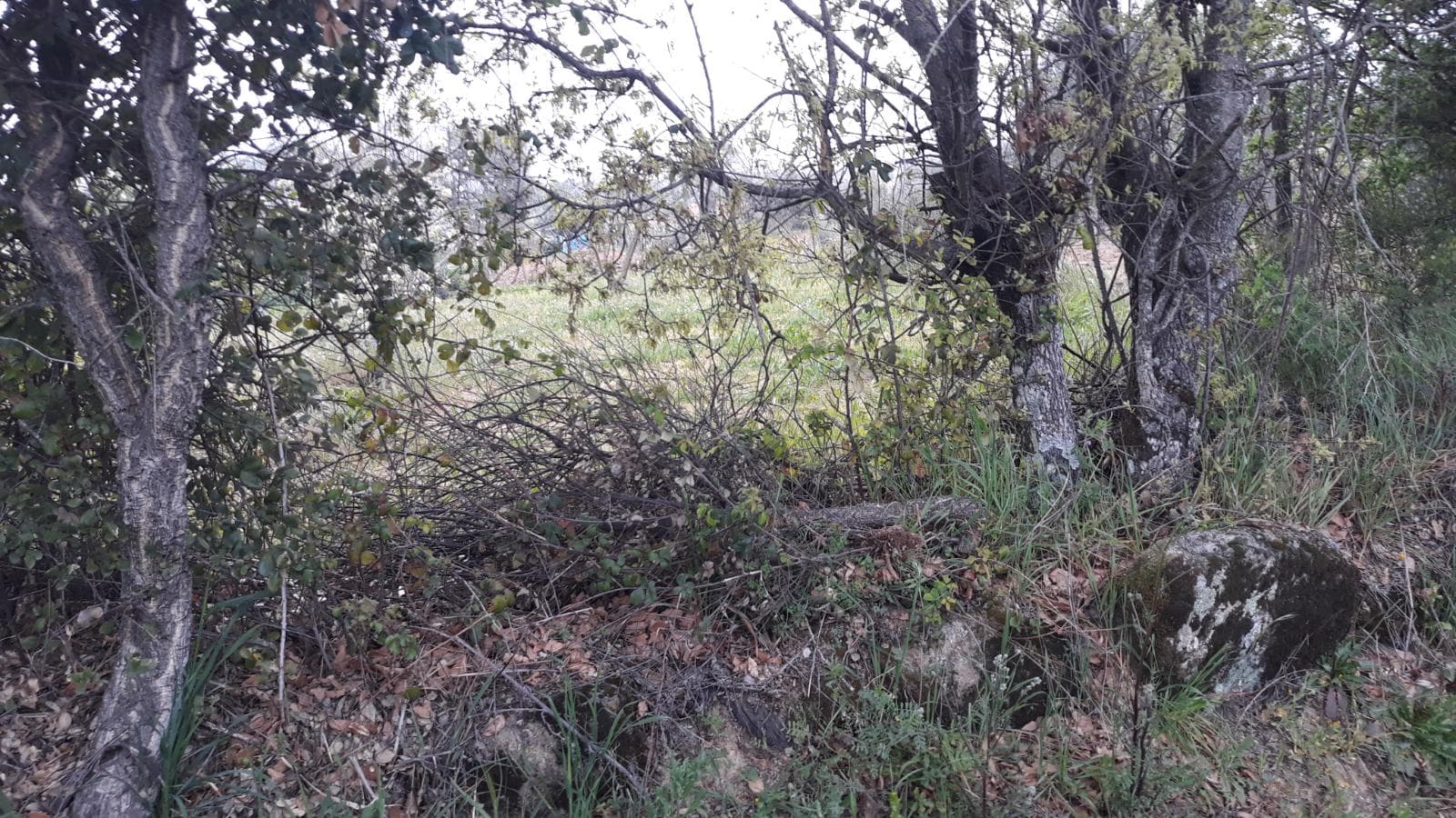 Terreno · Fundão — imagen 2