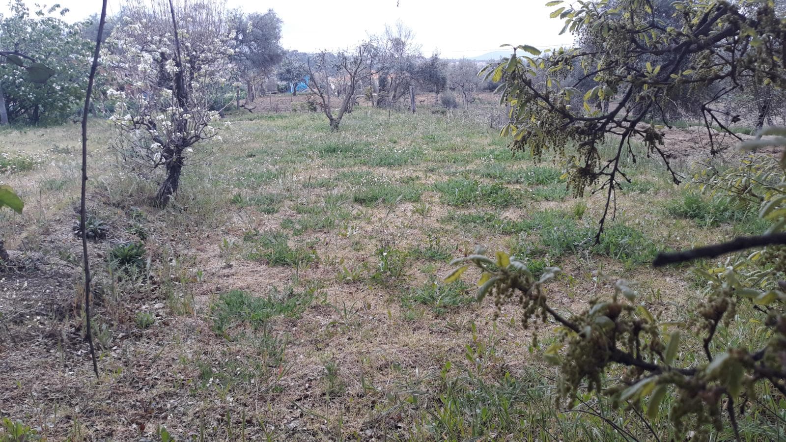 Terreno · Fundão