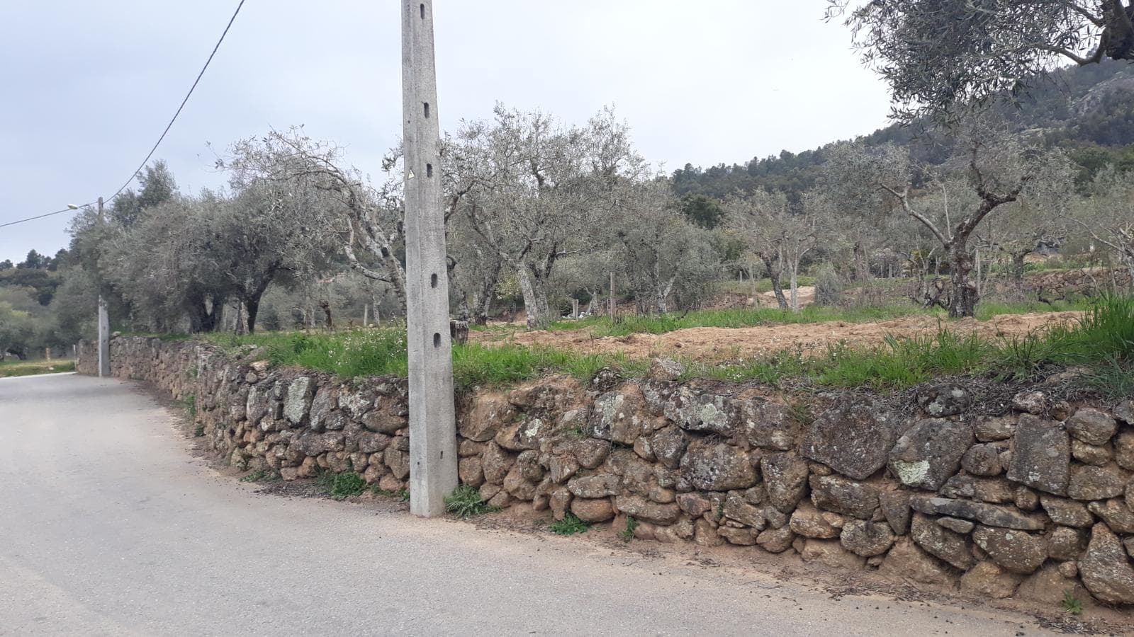 Terreno · Fundão — imagen 4