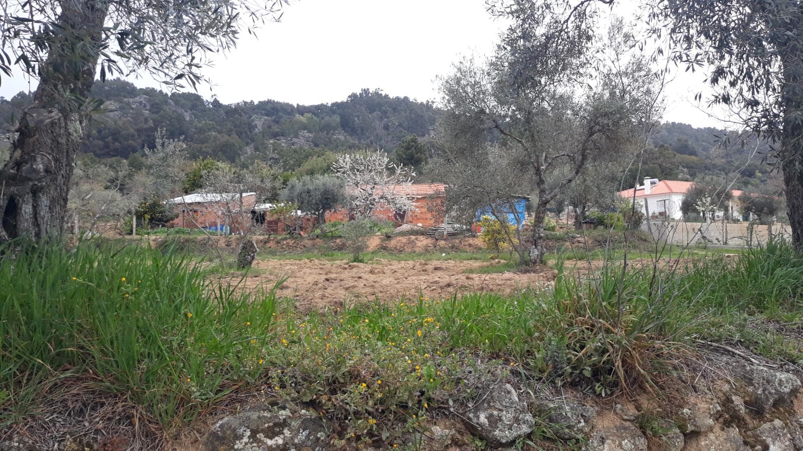 Terreno · Fundão — imagen 2