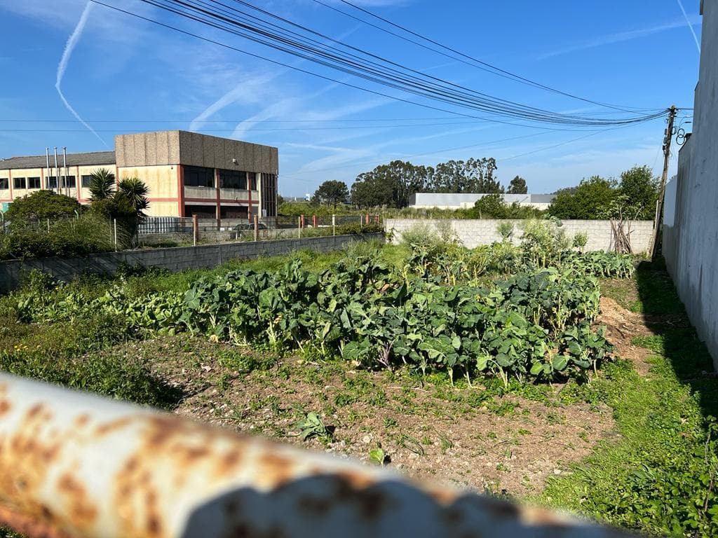 Terreno para Construção · Póvoa de Varzim — image 3