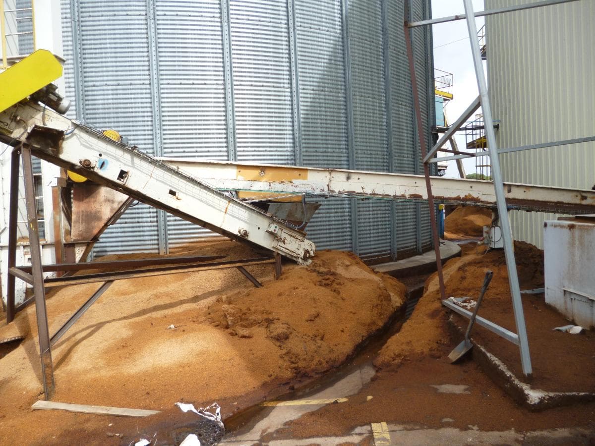 Unidade de Produção de Pellets · Alcácer do Sal — imagen 250