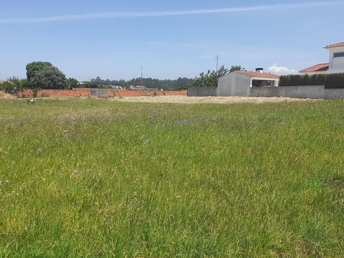 Lote para Construção · Ovar