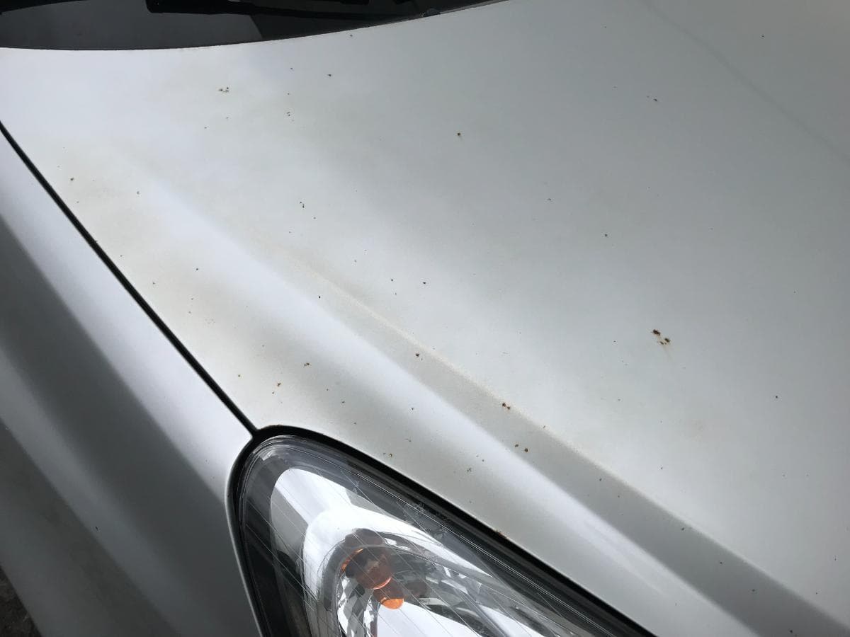 Opel Corsa 1.3CDTI · Ano 2008 39-GJ-73 — imagem 18