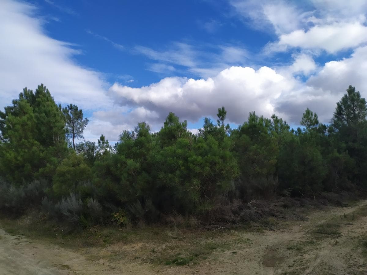 Terreno para Construção · Sernancelhe, Viseu — imagem 2