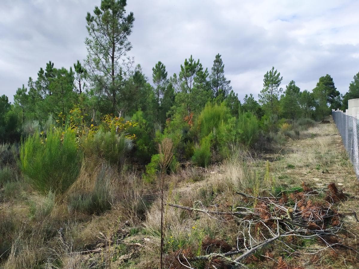 Terreno para Construção · Sernancelhe, Viseu — imagem 1