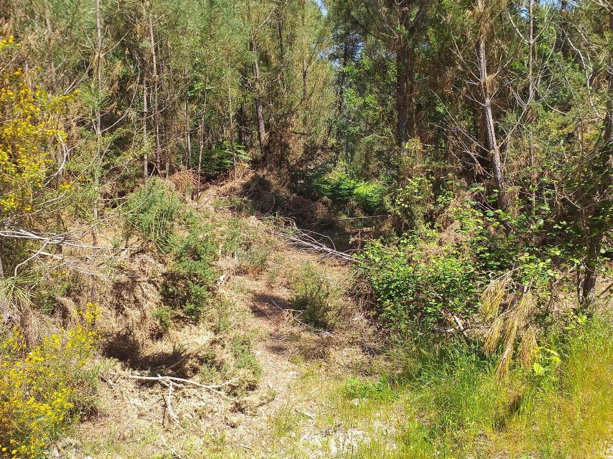 Terreno  · Monção, Viana do Castelo — imagem 4