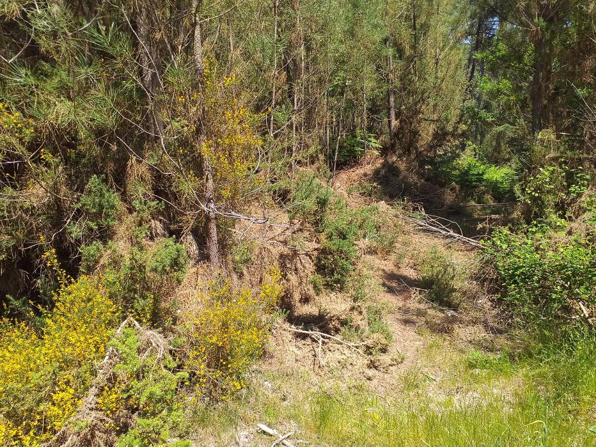 Terreno  · Monção, Viana do Castelo — imagem 3