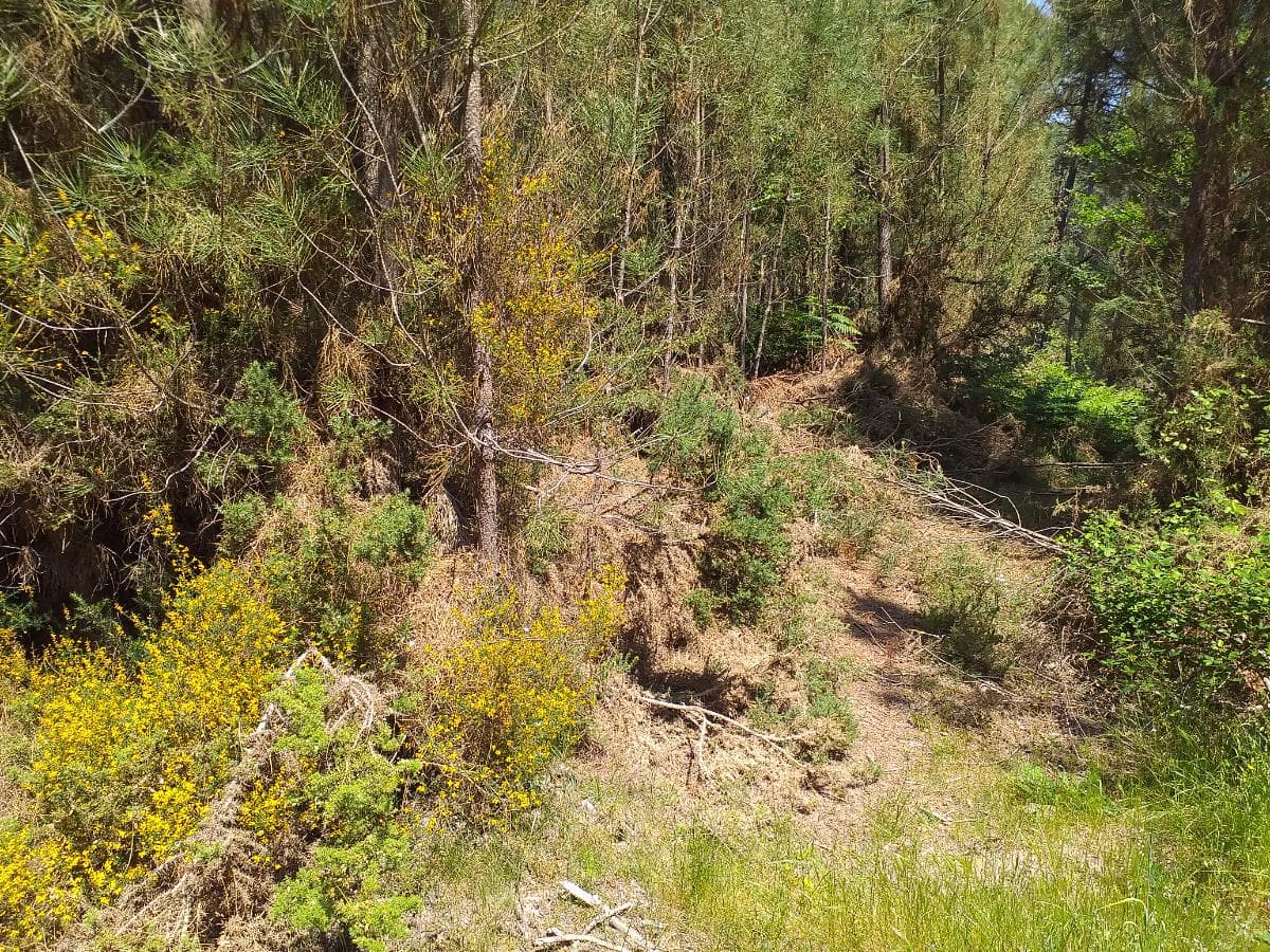 Terreno  · Monção, Viana do Castelo — imagem 5