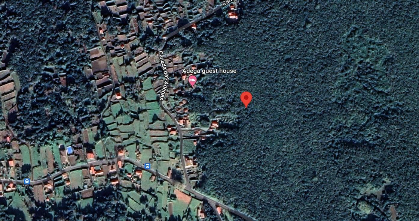 Moradias · Terrenos · Horta, Ilha dos Açores — image 19
