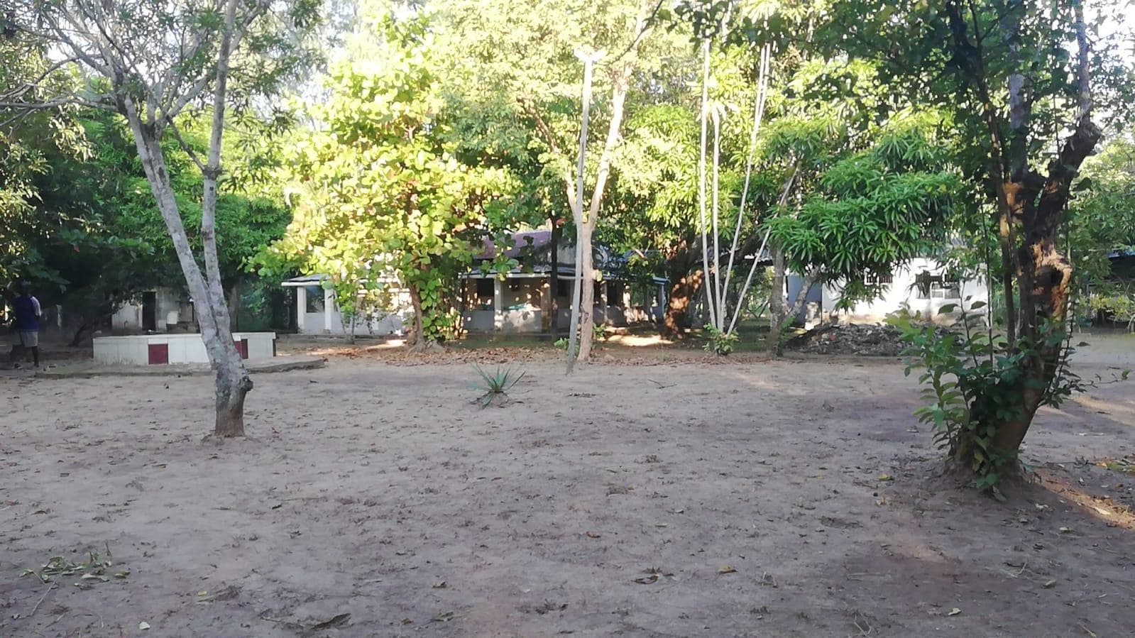 Quinta em Namacata · — imagem 6