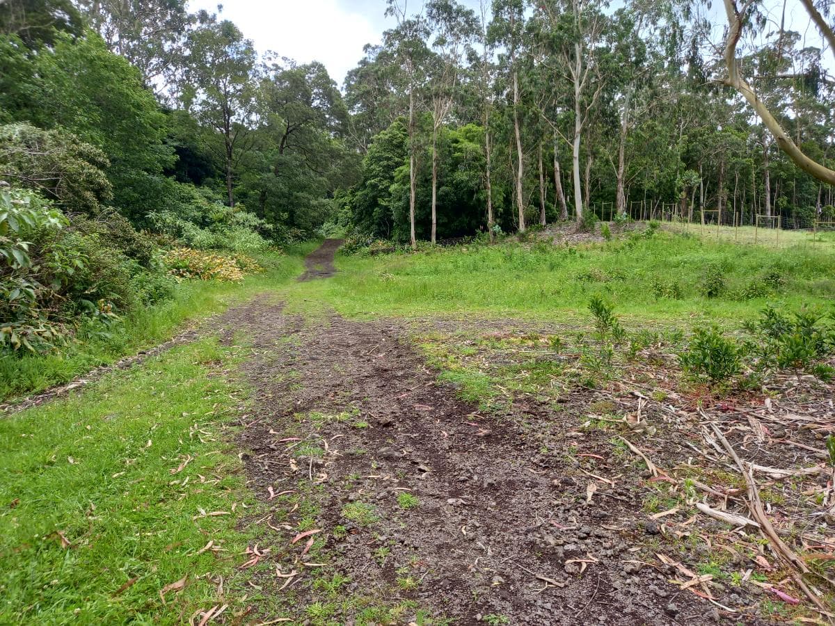 Terreno · Angra do Heroísmo, Arquipélago dos Açores — imagem 3