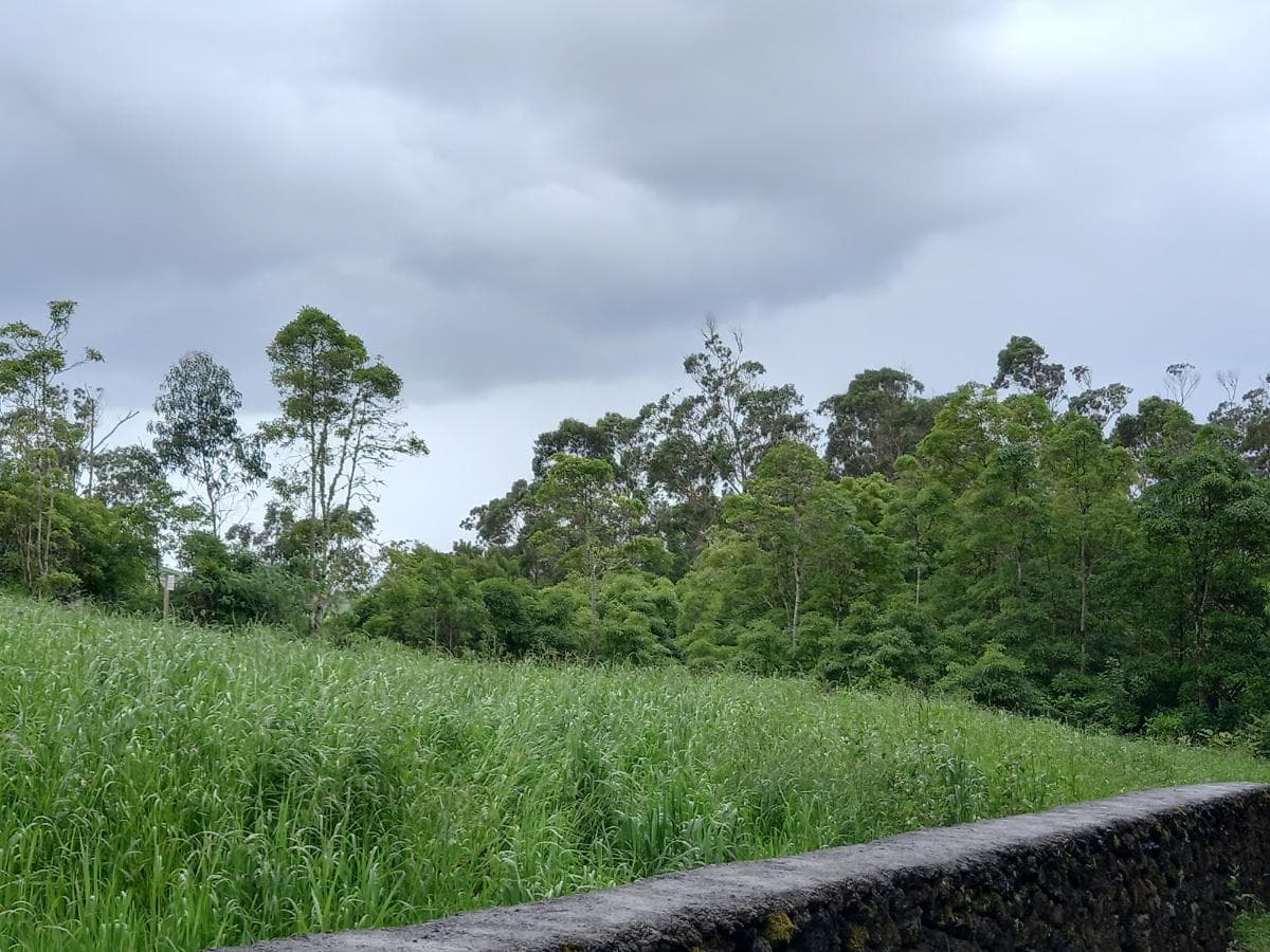 Terrenos · Angra do Heroísmo, Arquipélago dos Açores — imagem 2