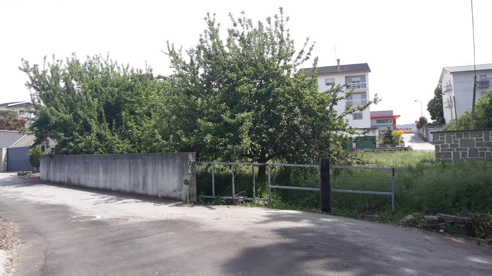 Lote para Construção · Moimenta da Beira — imagem 1