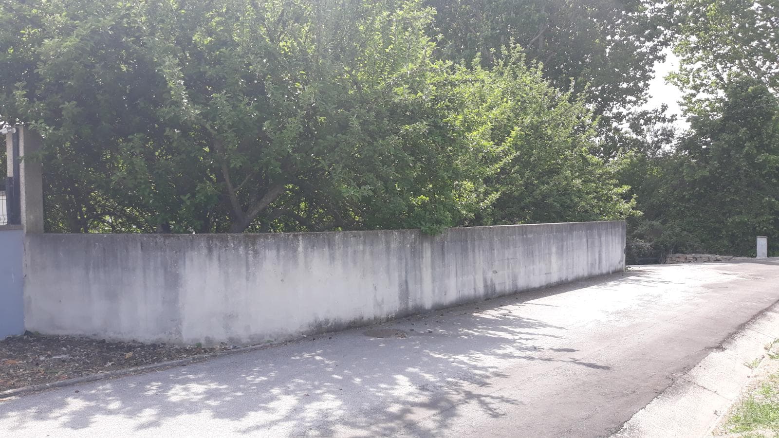 Lote para Construção · Moimenta da Beira — imagem 4