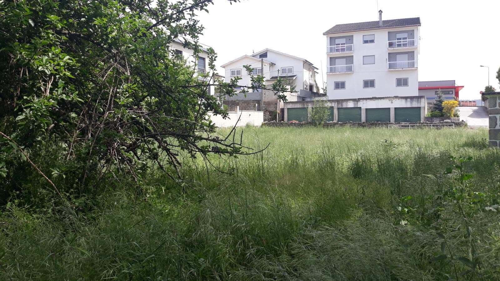 Lote para Construção · Moimenta da Beira — imagem 2