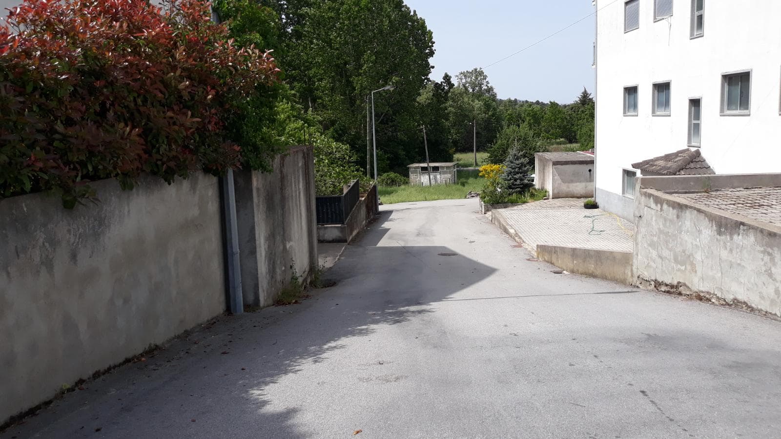 Lote para Construção · Moimenta da Beira, Viseu — imagem 5