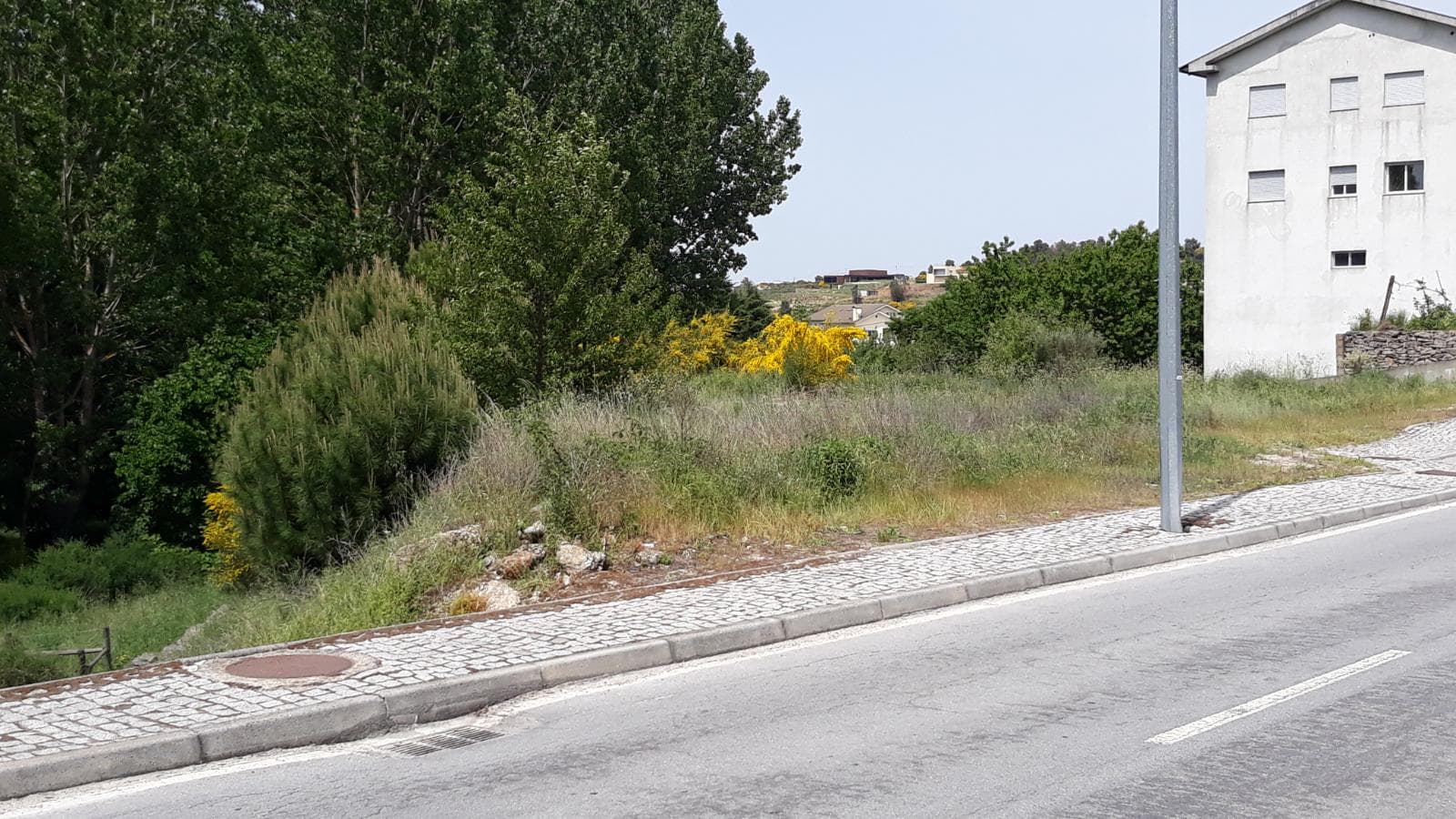 Lote para Construção · Moimenta da Beira, Viseu — imagem 3