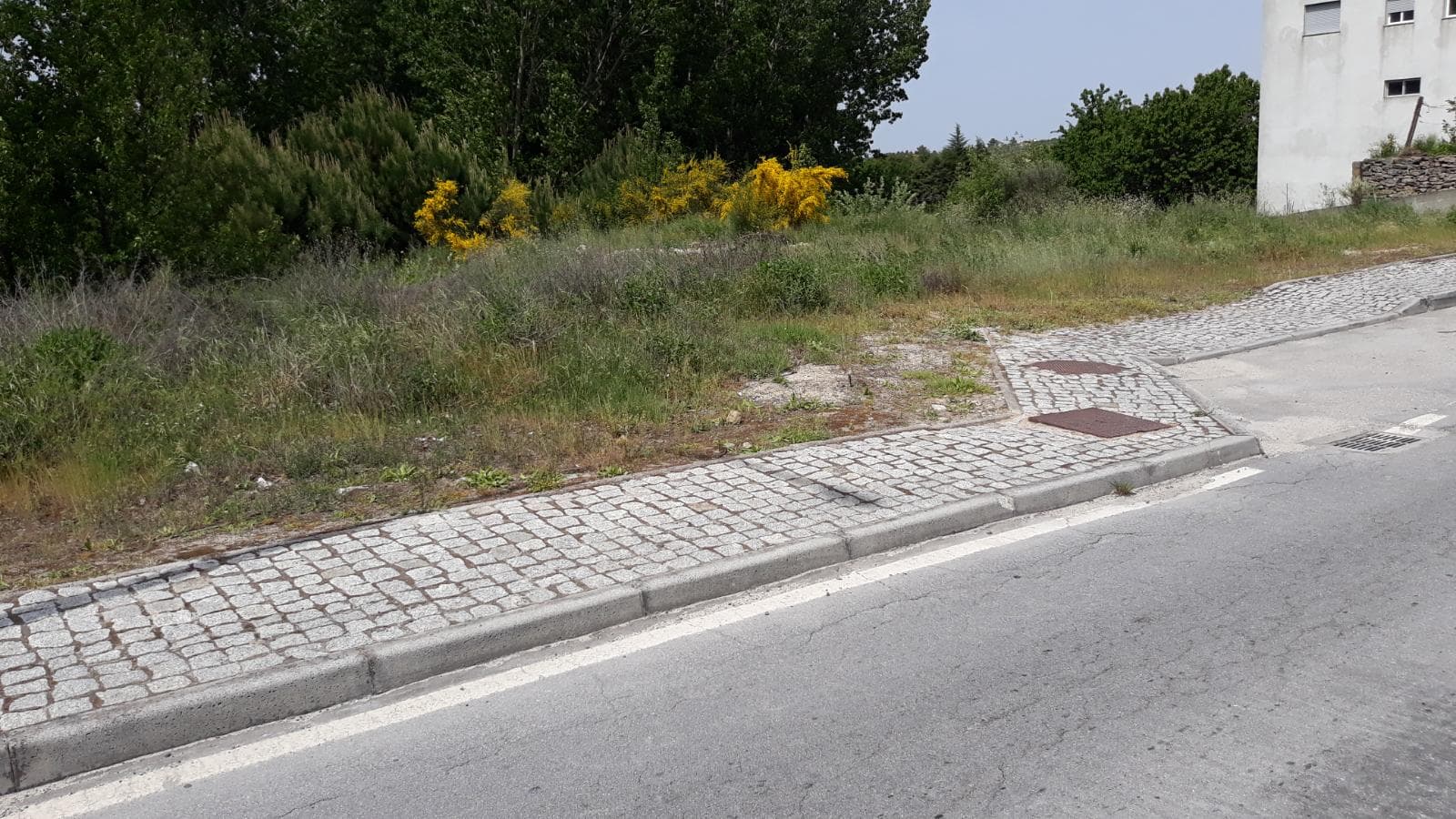 Lote para Construção · Moimenta da Beira, Viseu — imagem 2