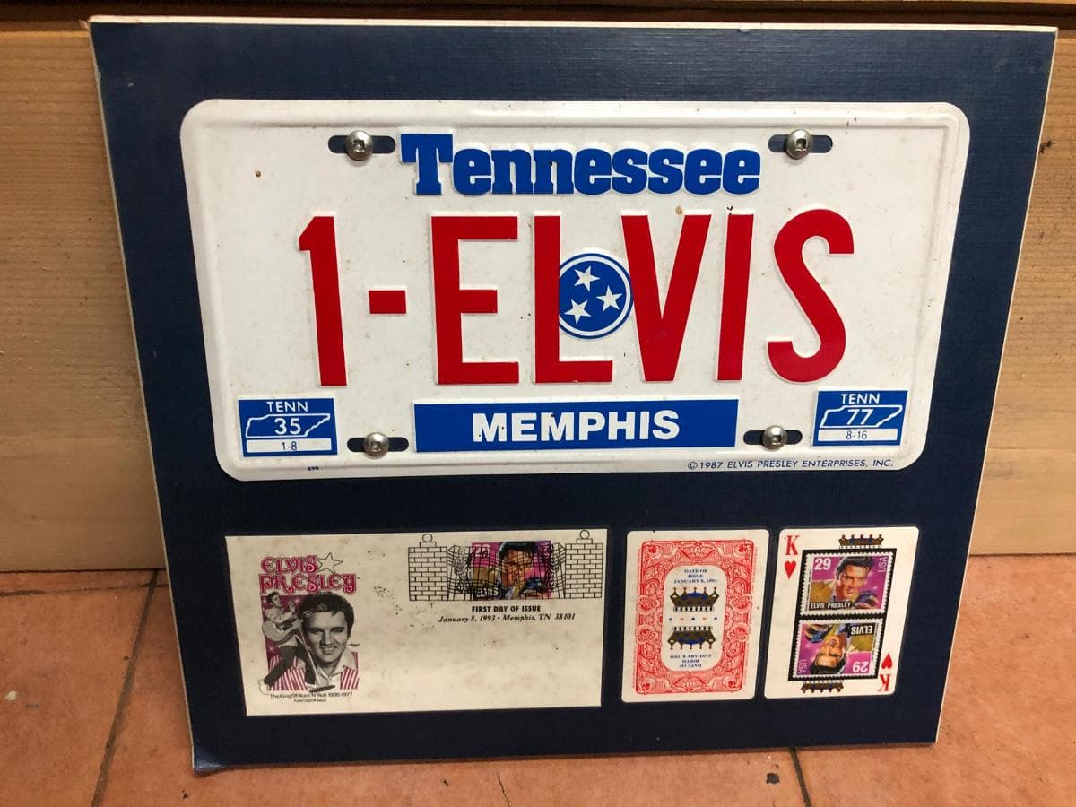 Quadro ilustrativo Elvis — imagem 1