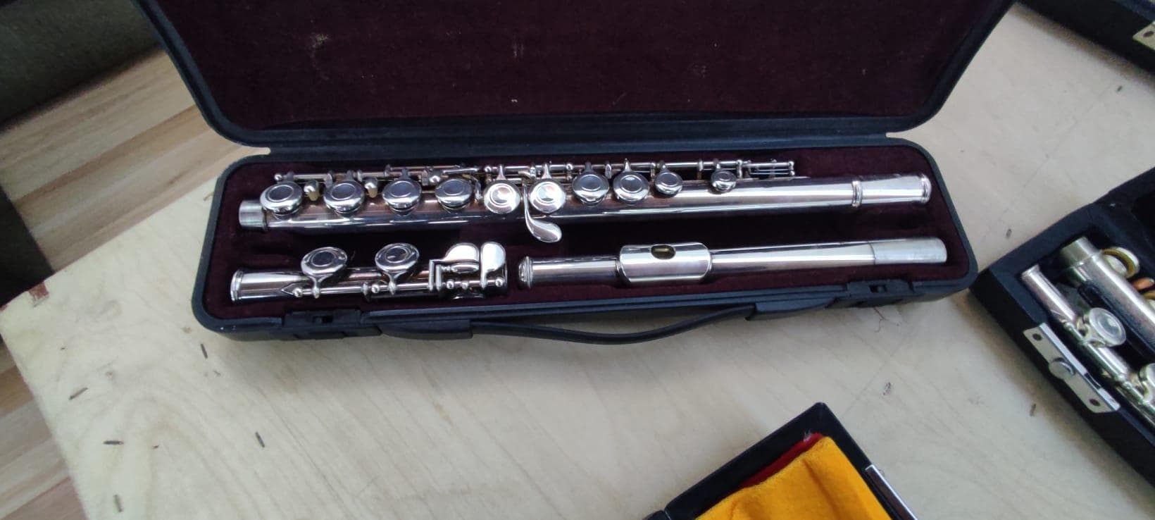LEILÃO SUSPENSO · Instrumentos Musicais — imagen 6