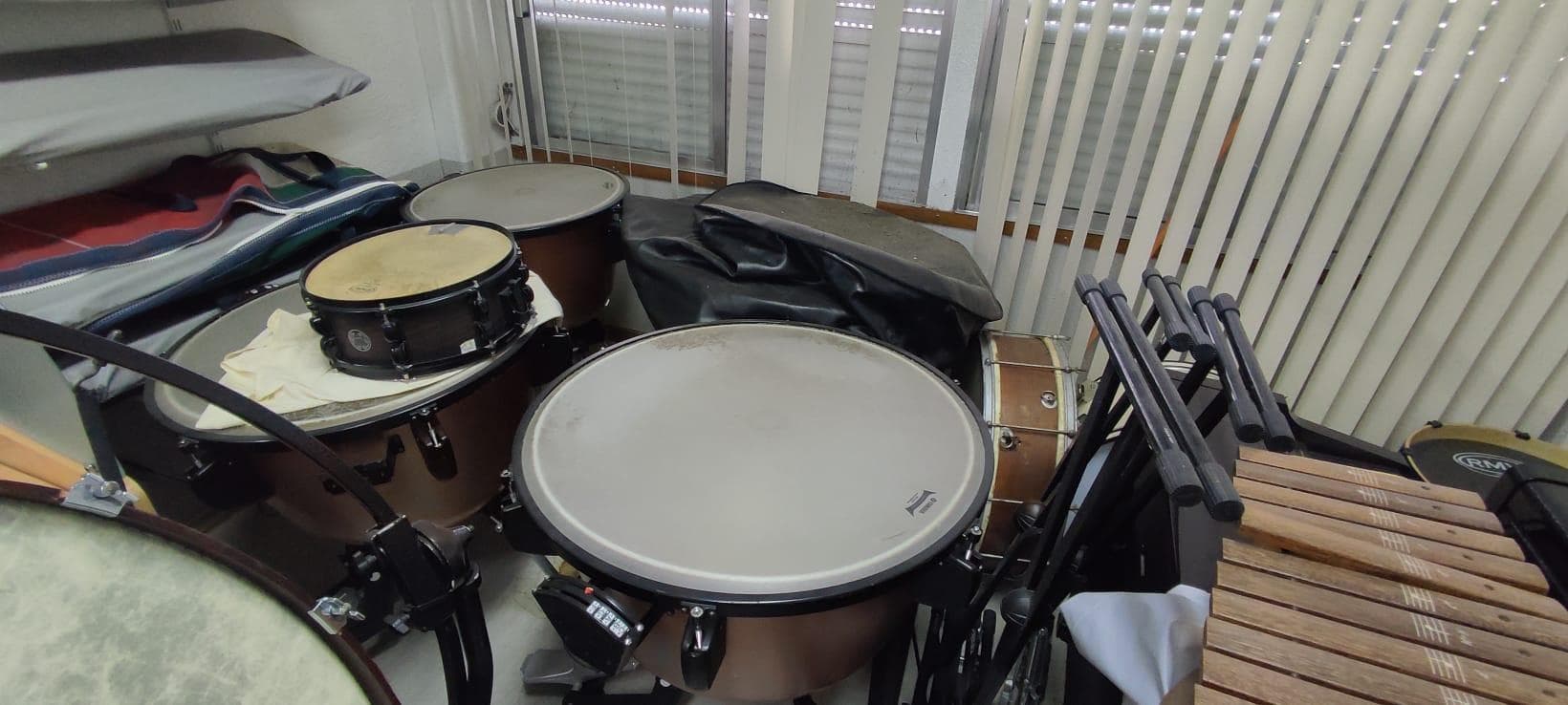 LEILÃO SUSPENSO · Instrumentos Musicais — imagem 3