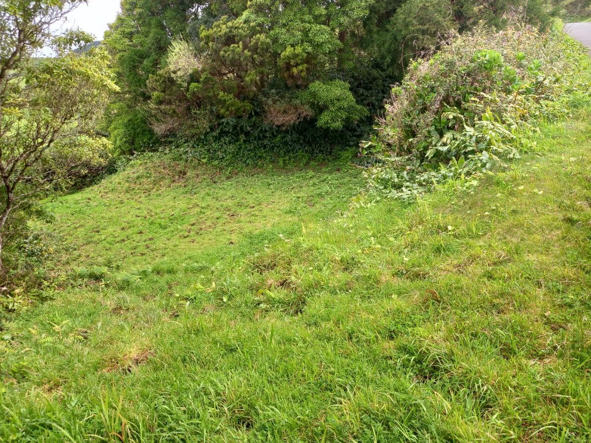 Moradias · Terrenos · Horta, Ilha dos Açores — image 8