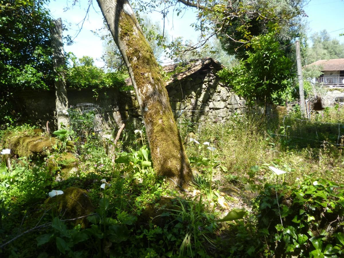 Moradia (Ruínas) · Póvoa de Lanhoso — imagem 12