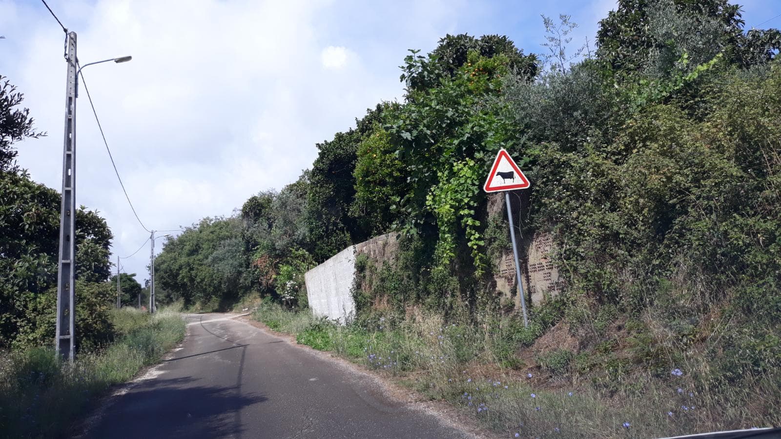 Quinhão Hereditário · Pombal — imagem 6