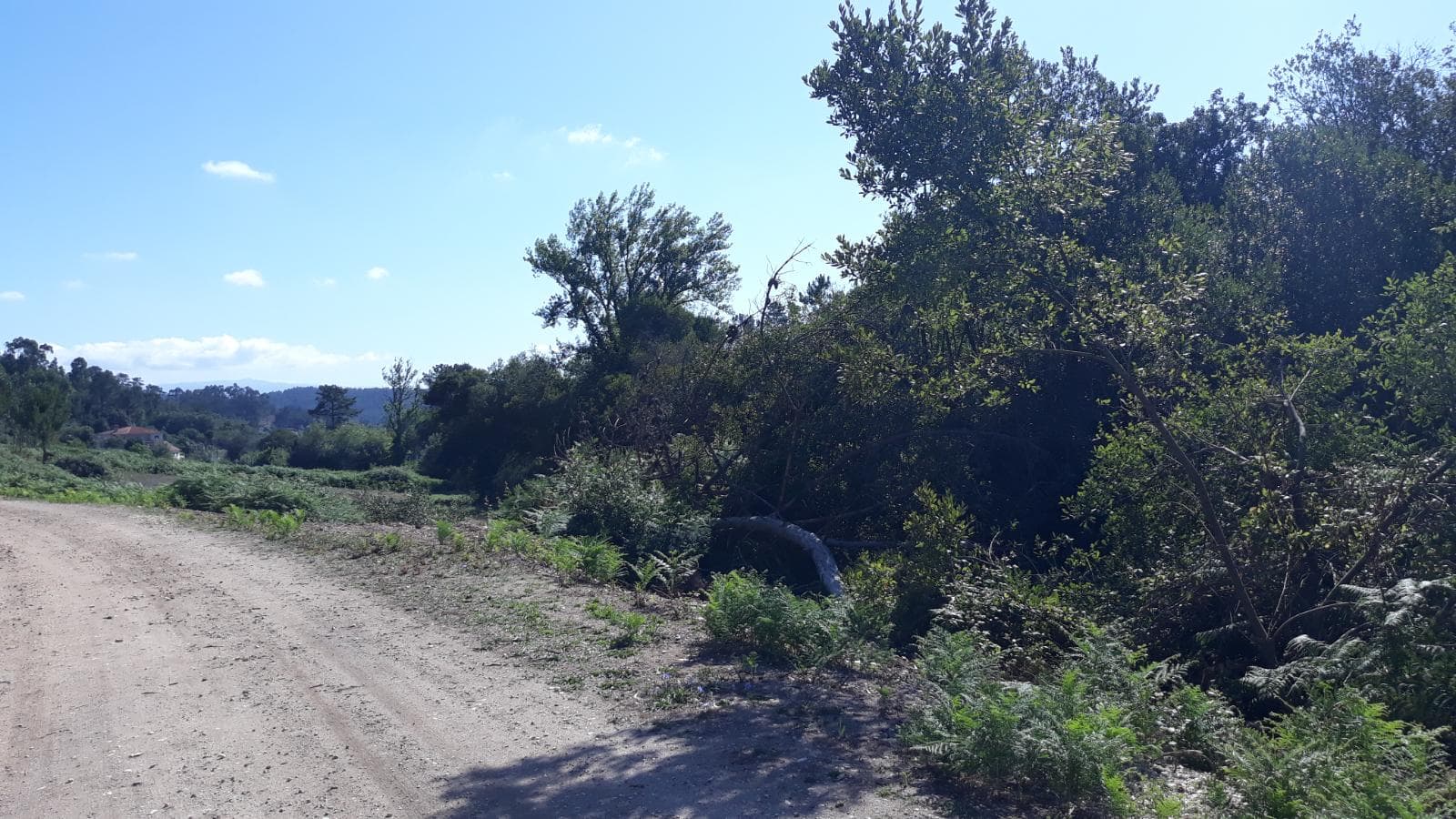 Quinhão Hereditário · Pombal — imagem 3