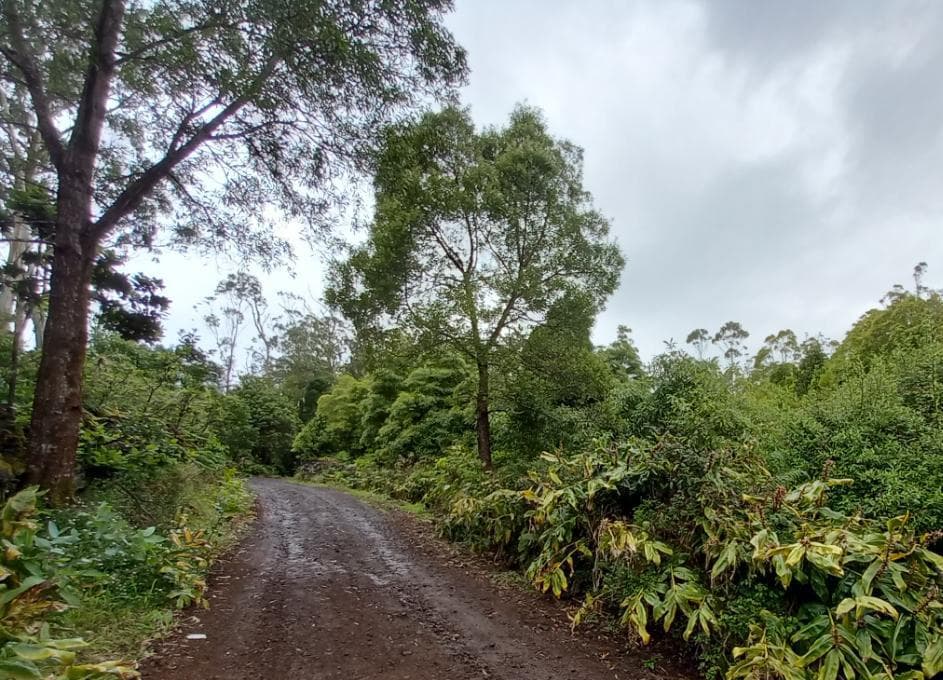 Terrenos · Angra do Heroísmo, Arquipélago dos Açores — imagem 4