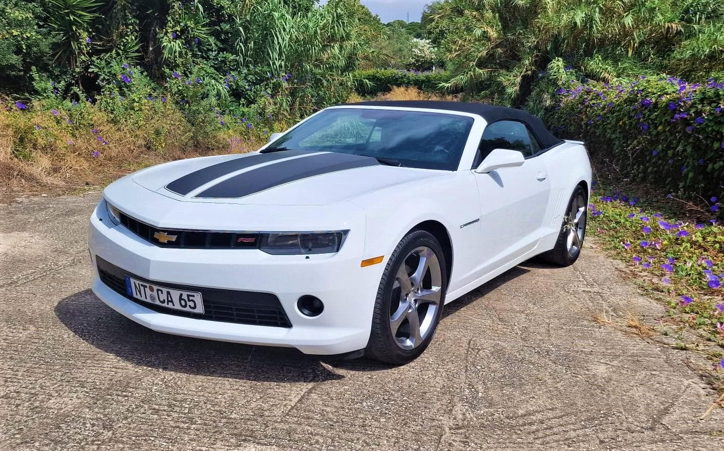 Camaro 230 CE - 2014 — imagem 1