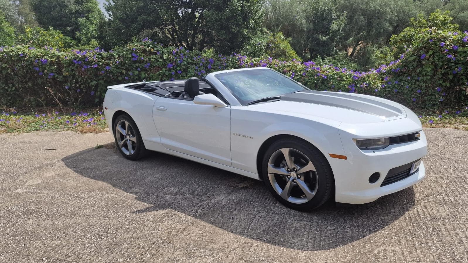 Camaro 230 CE - 2014 — imagem 6